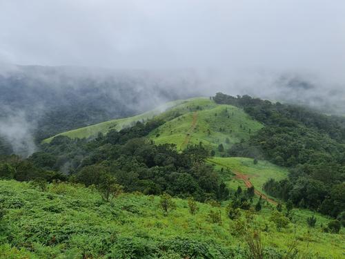 Gangadikal Trek, Chikmagalur